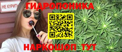 гашик Донецк