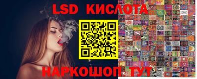 гашик Донецк