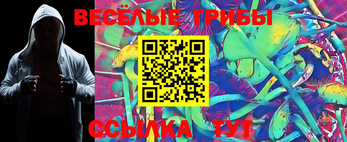 Глазов  Галлюциногенные грибы Psilocybe  Вход с VPN 