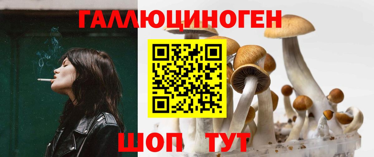 Галлюциногенные грибы мухоморы Глазов